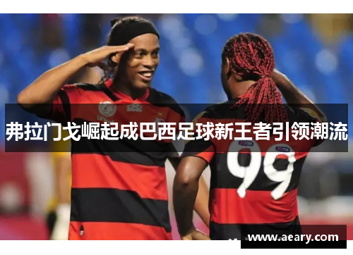 弗拉门戈崛起成巴西足球新王者引领潮流