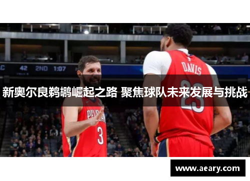 新奥尔良鹈鹕崛起之路 聚焦球队未来发展与挑战