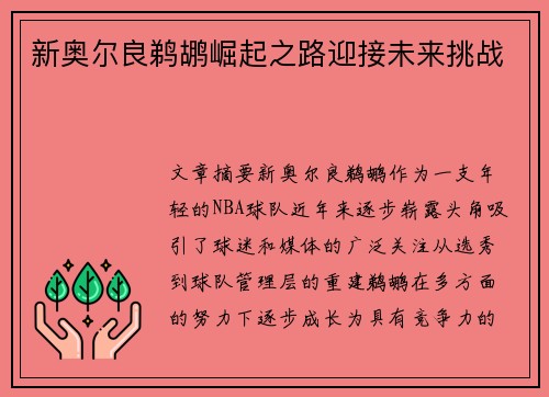 新奥尔良鹈鹕崛起之路迎接未来挑战