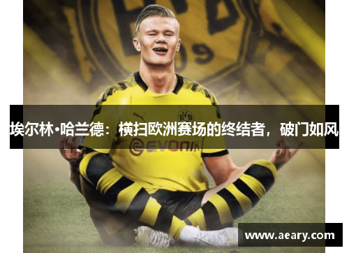 埃尔林·哈兰德：横扫欧洲赛场的终结者，破门如风